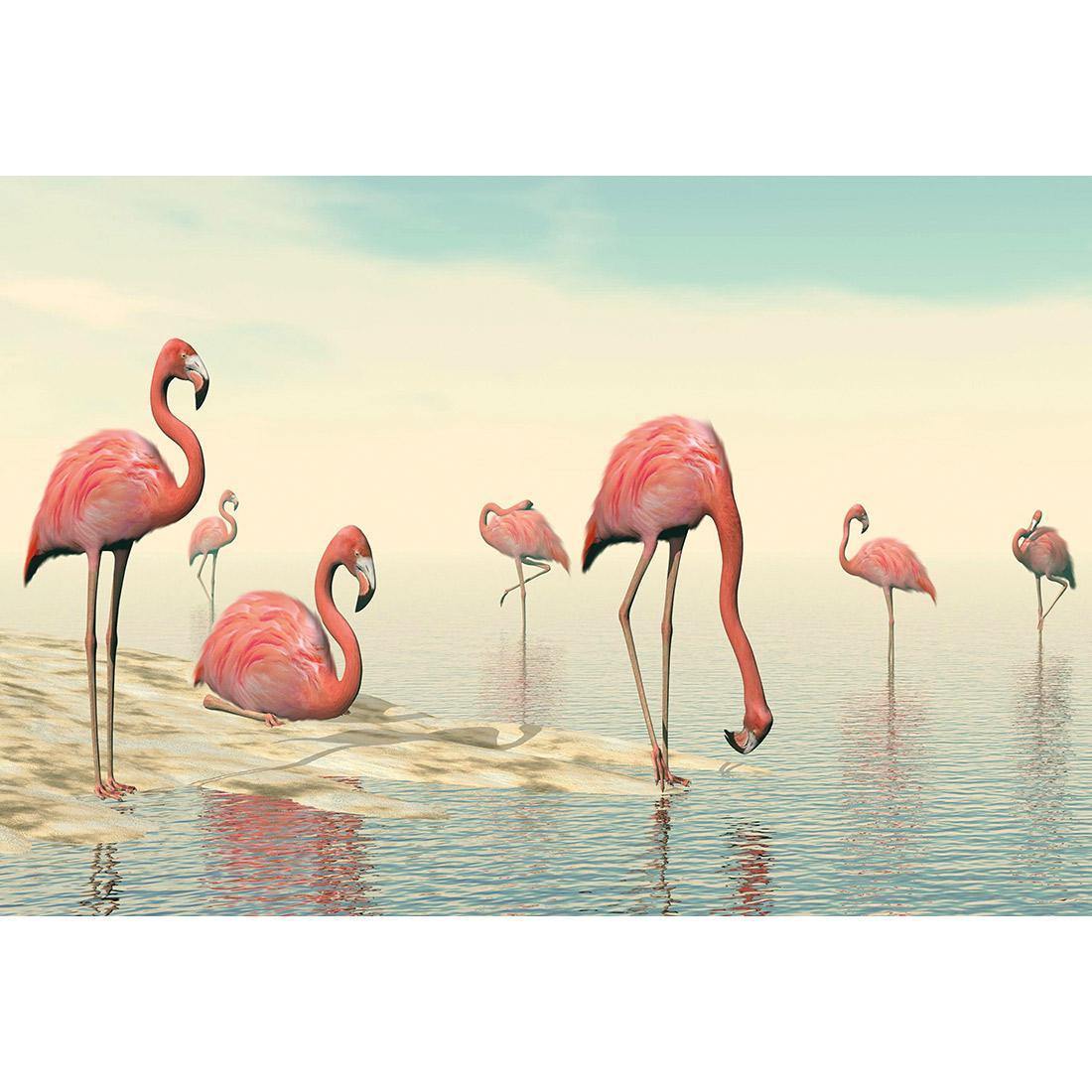 Flamingo Chill Wall Art The Canvas Art Factory Australia wallart