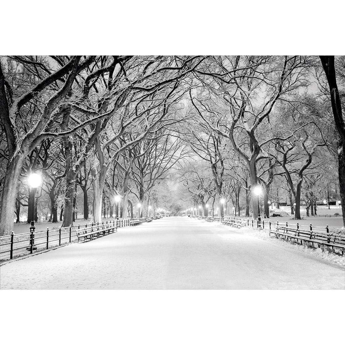 Central Park Dawn in Snow