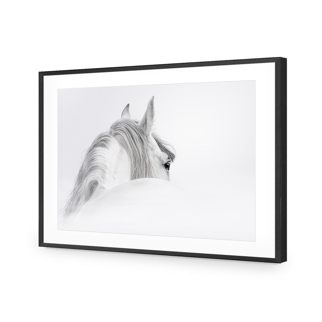 Andalusian Horse in the Mist - wallart-australia - Acrylic Glass With Border