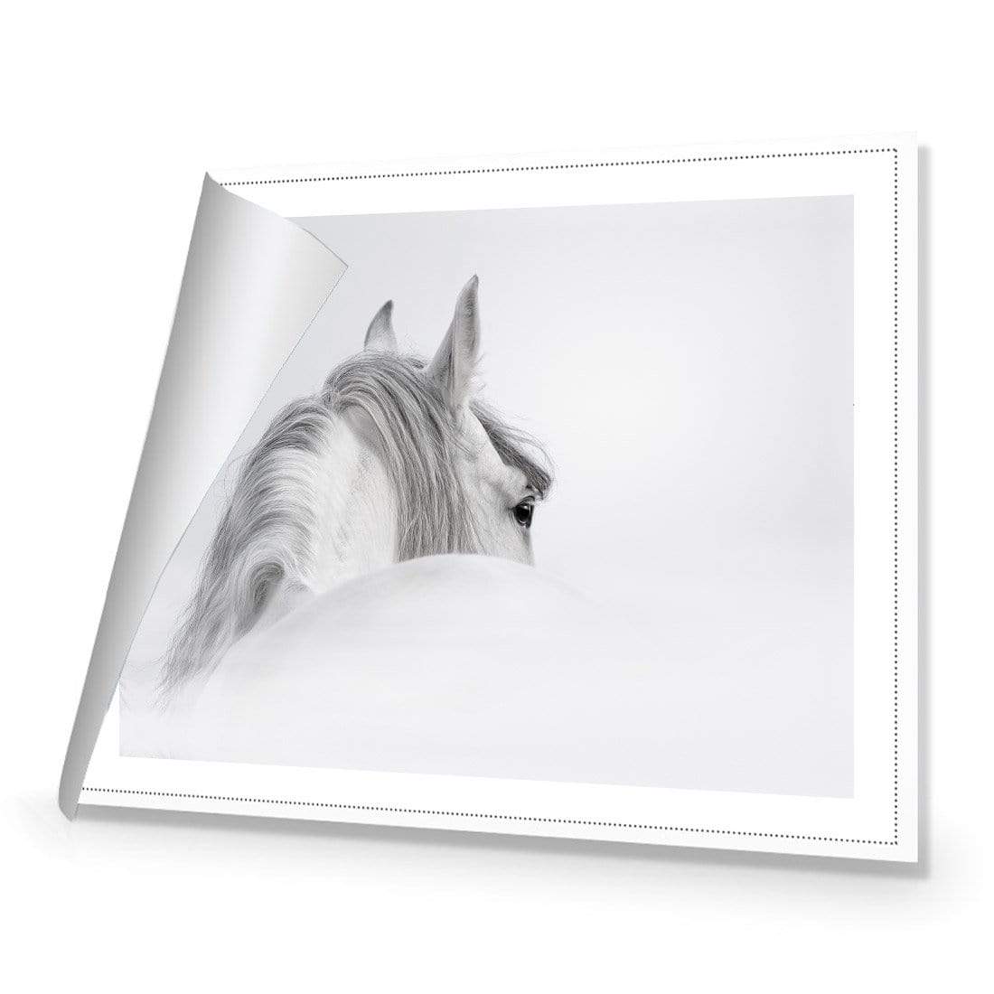 Andalusian Horse in the Mist - wallart-australia - Canvas