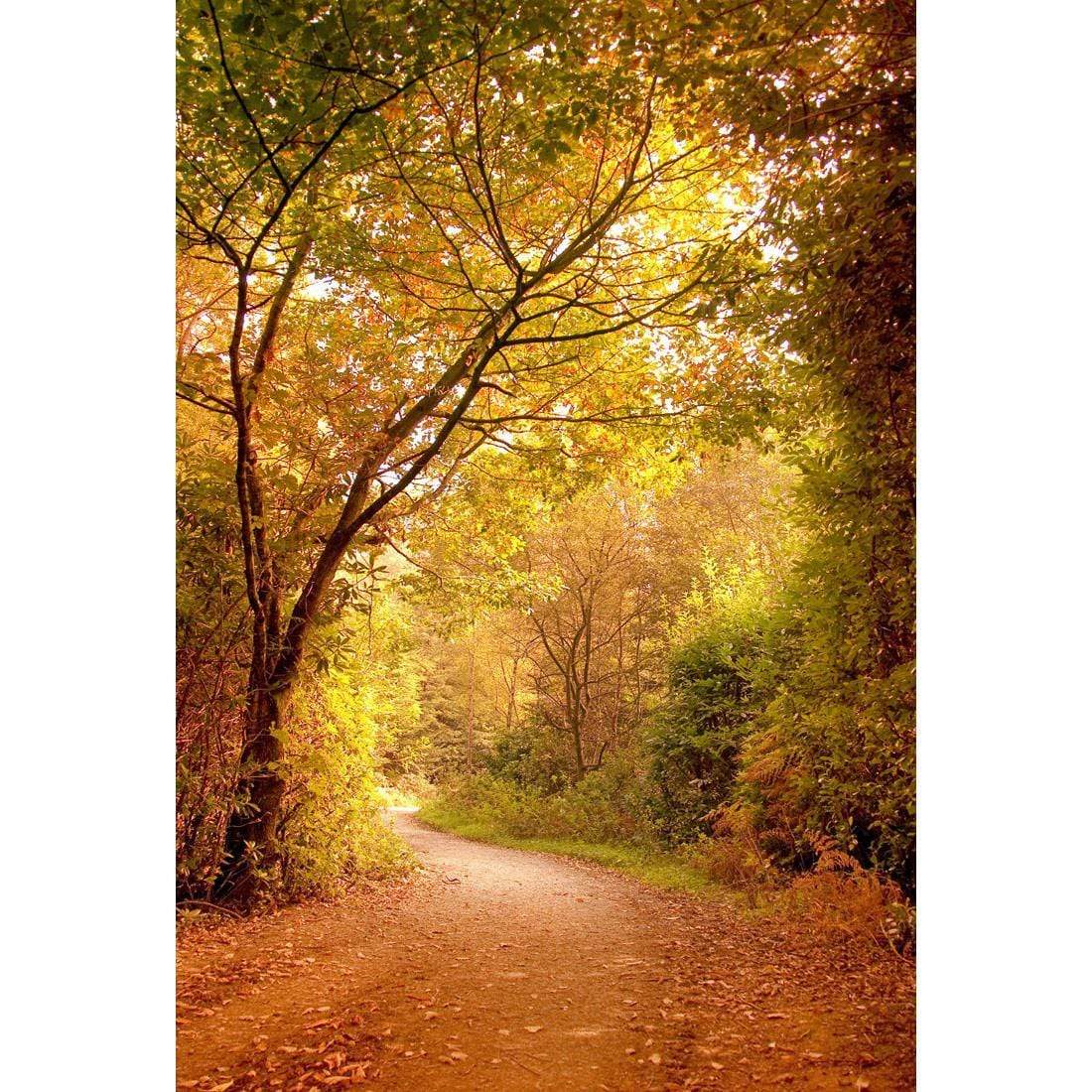 Autumn Pathway, Original - wallart-australia - Canvas