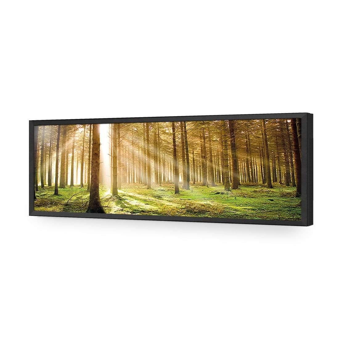 Autumn Pine Forest, Original (Long) - wallart-australia - Acrylic Glass No Border