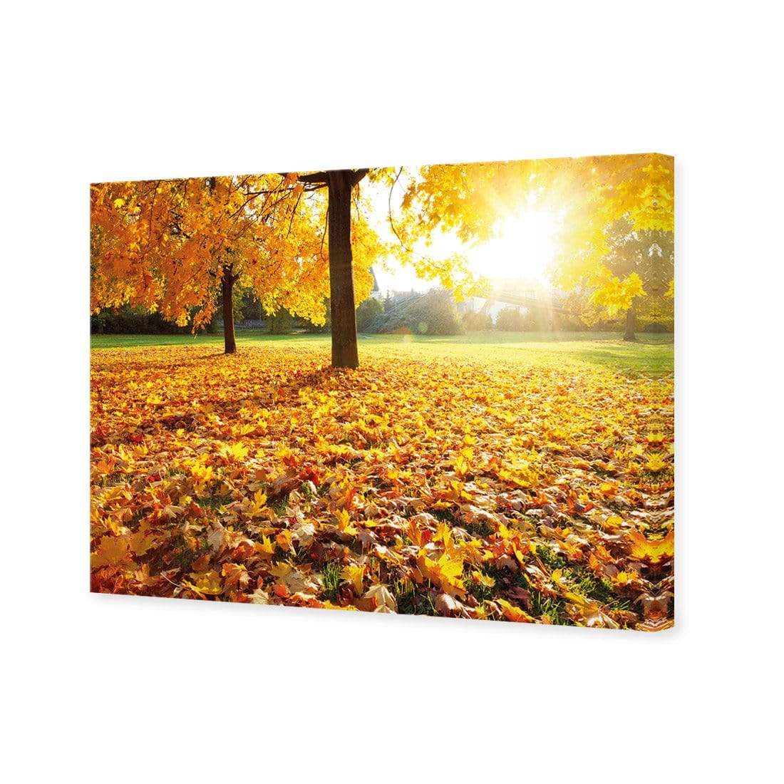 Autumn Sunshine - wallart-australia - Canvas