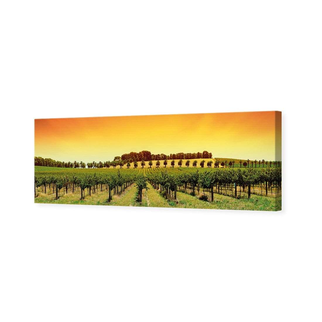 Barossa Vineyards, Original (Long) - wallart-australia - Canvas