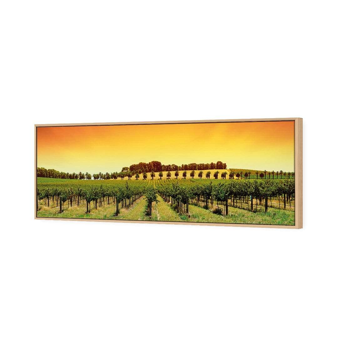 Barossa Vineyards, Original (Long) - wallart-australia - Canvas