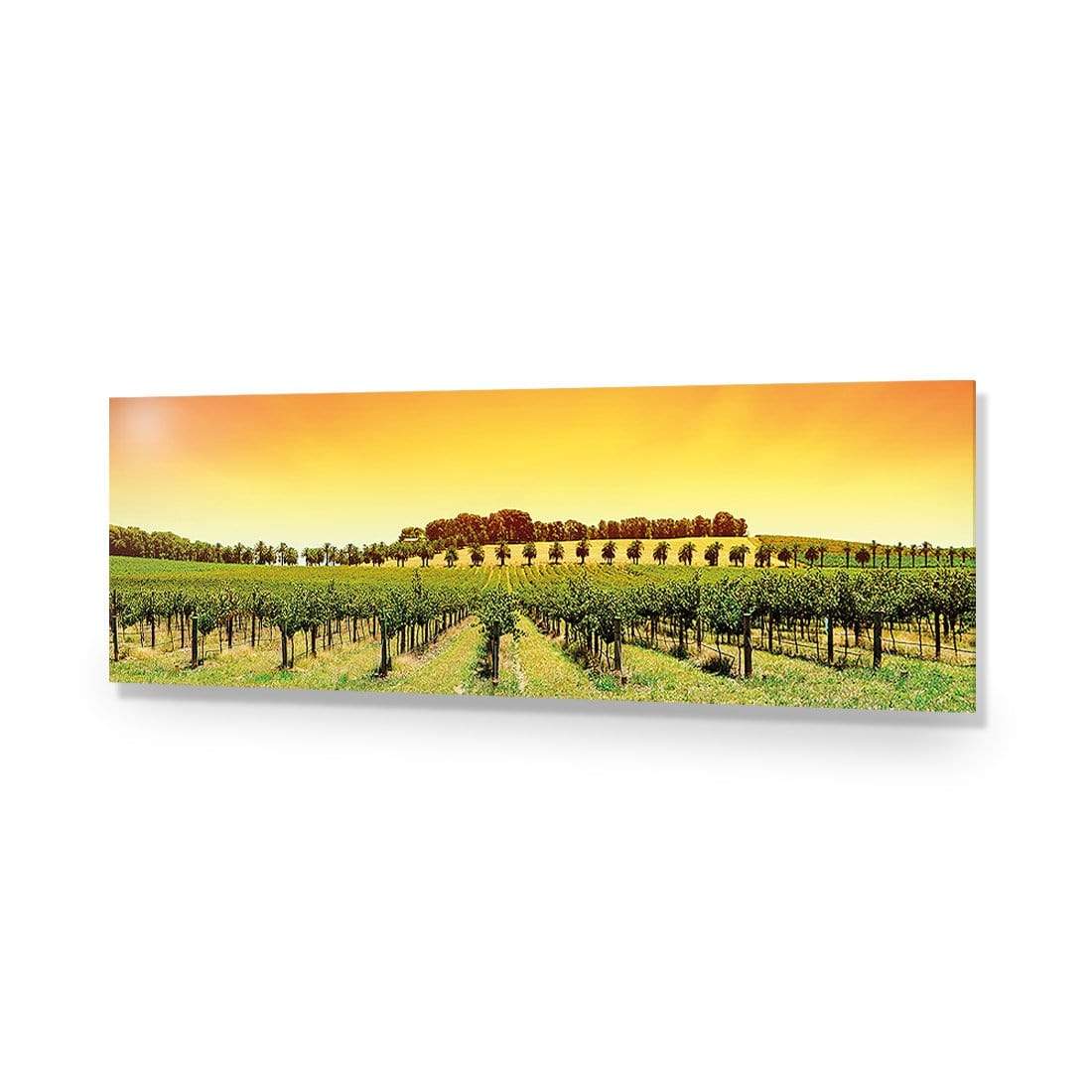 Barossa Vineyards, Original (Long) - wallart-australia - Acrylic Glass No Border
