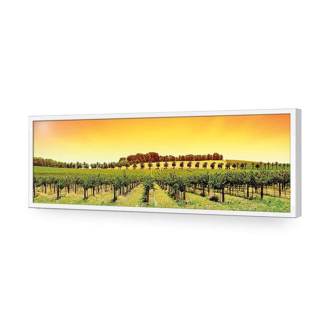Barossa Vineyards, Original (Long) - wallart-australia - Acrylic Glass No Border