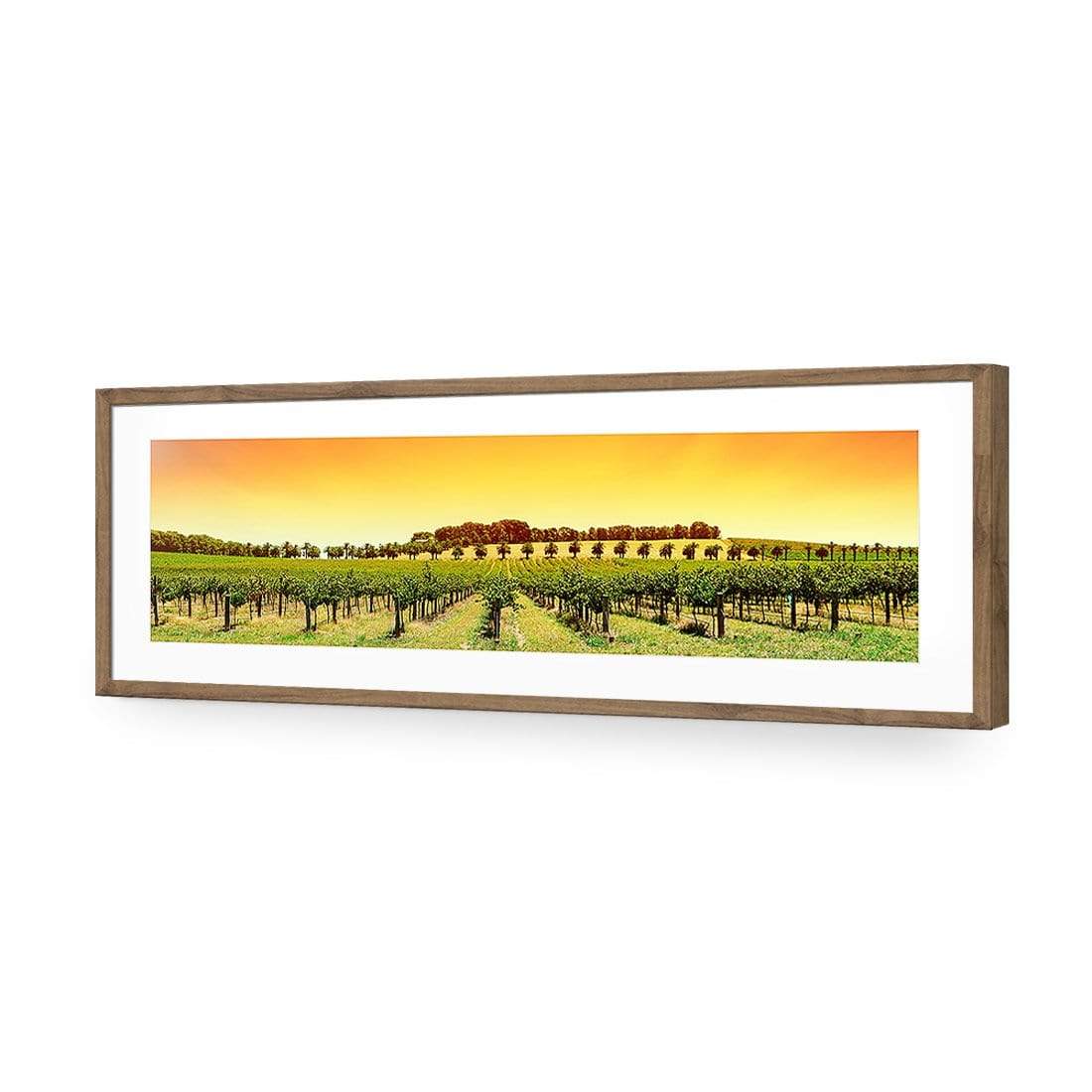 Barossa Vineyards, Original (Long) - wallart-australia - Acrylic Glass With Border