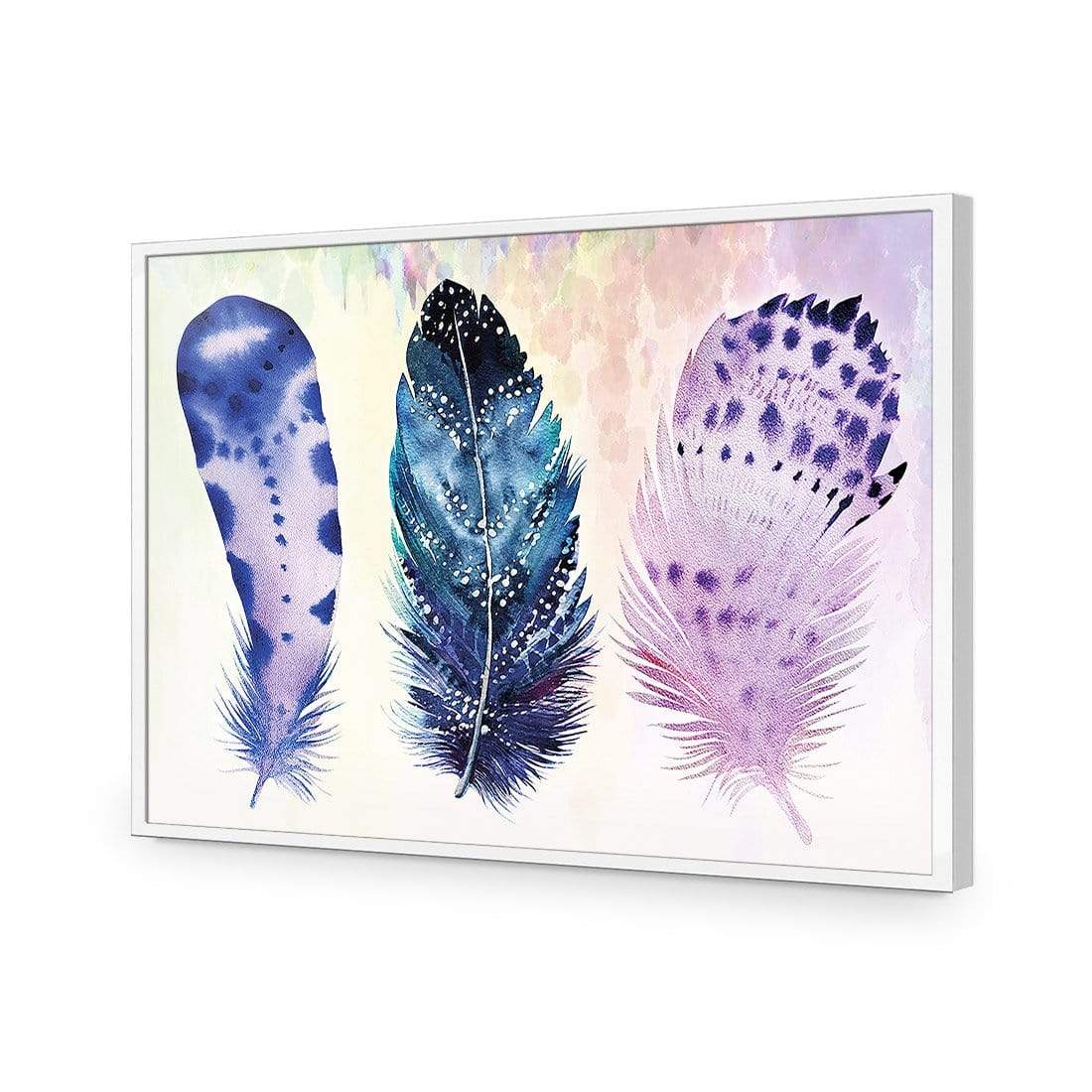 Boho Feathers Artwork - wallart-australia - Acrylic Glass No Border