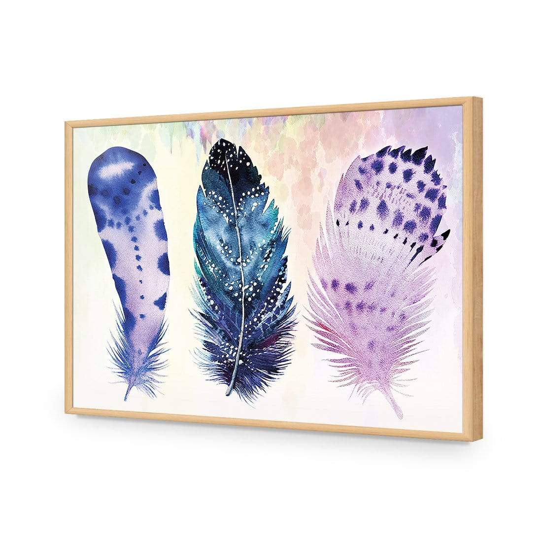 Boho Feathers Artwork - wallart-australia - Acrylic Glass No Border