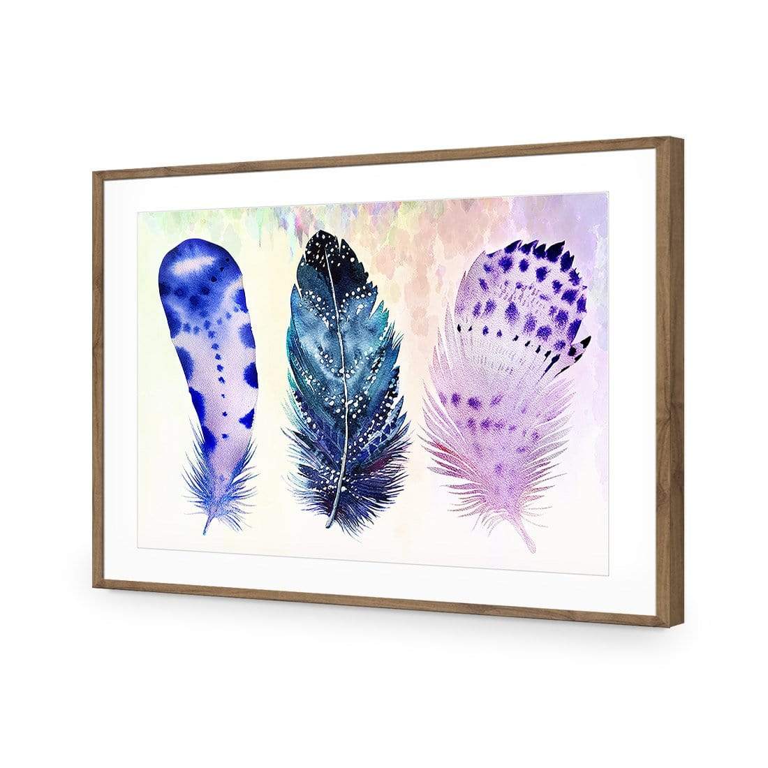 Boho Feathers Artwork - wallart-australia - Acrylic Glass With Border