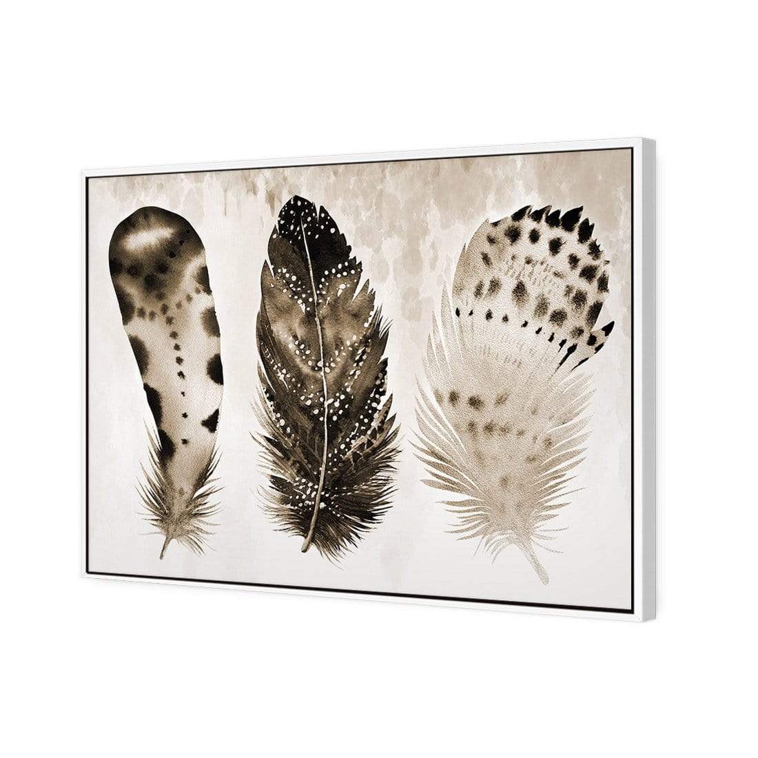 Boho Feathers, Sepia - wallart-australia - Canvas
