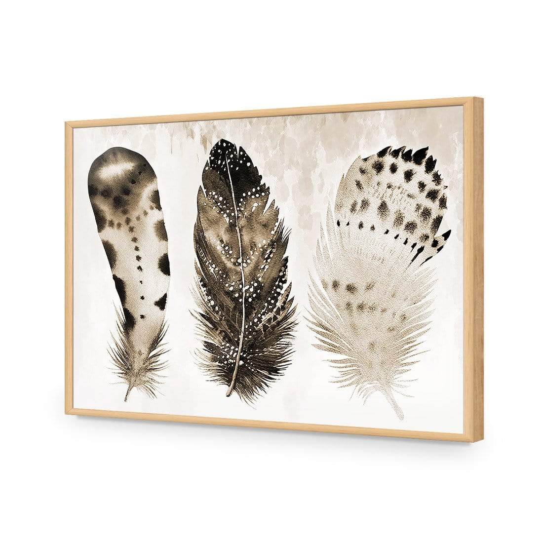 Boho Feathers, Sepia - wallart-australia - Acrylic Glass No Border