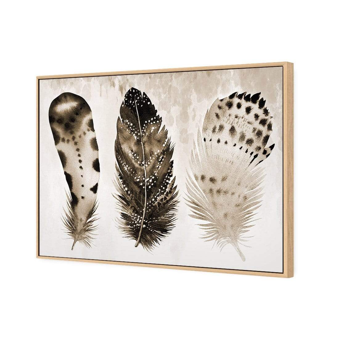 Boho Feathers, Sepia - wallart-australia - Canvas