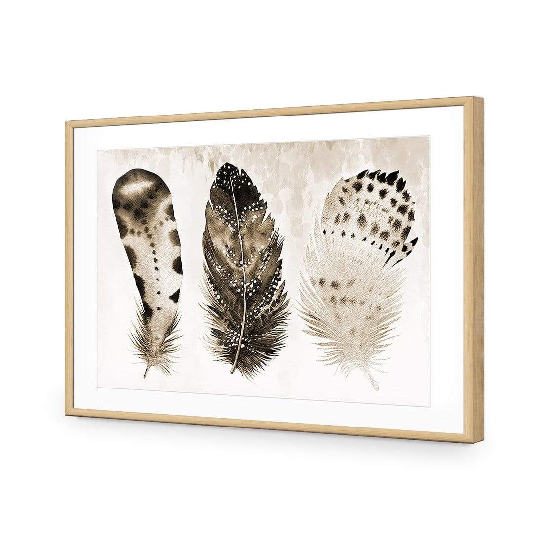 Boho Feathers, Sepia - wallart-australia - Acrylic Glass With Border