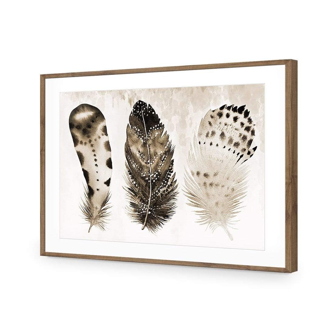 Boho Feathers, Sepia - wallart-australia - Acrylic Glass With Border