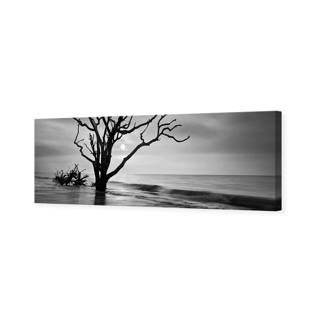 Botany Bay Sunrise, Black and White (Long) - wallart-australia - Canvas