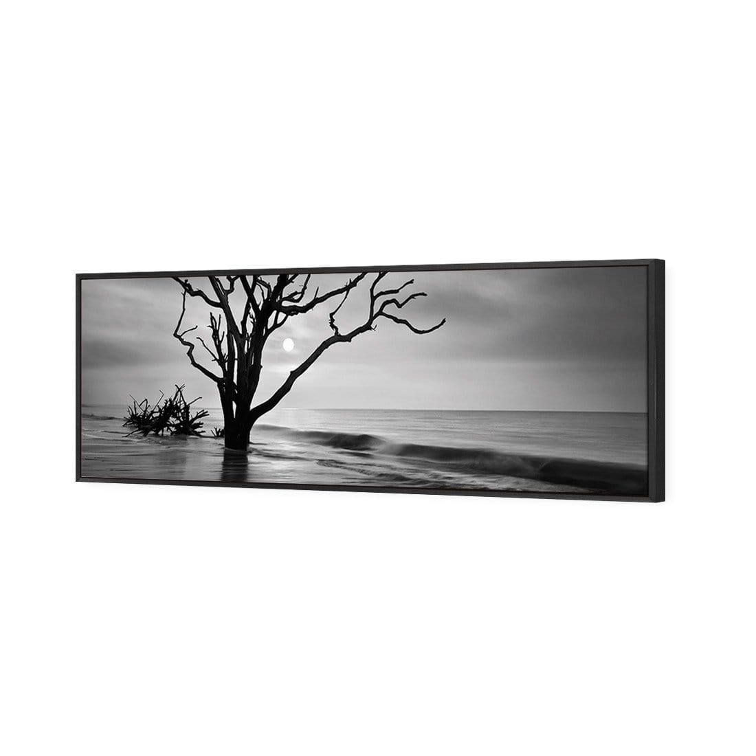 Botany Bay Sunrise, Black and White (Long) - wallart-australia - Canvas