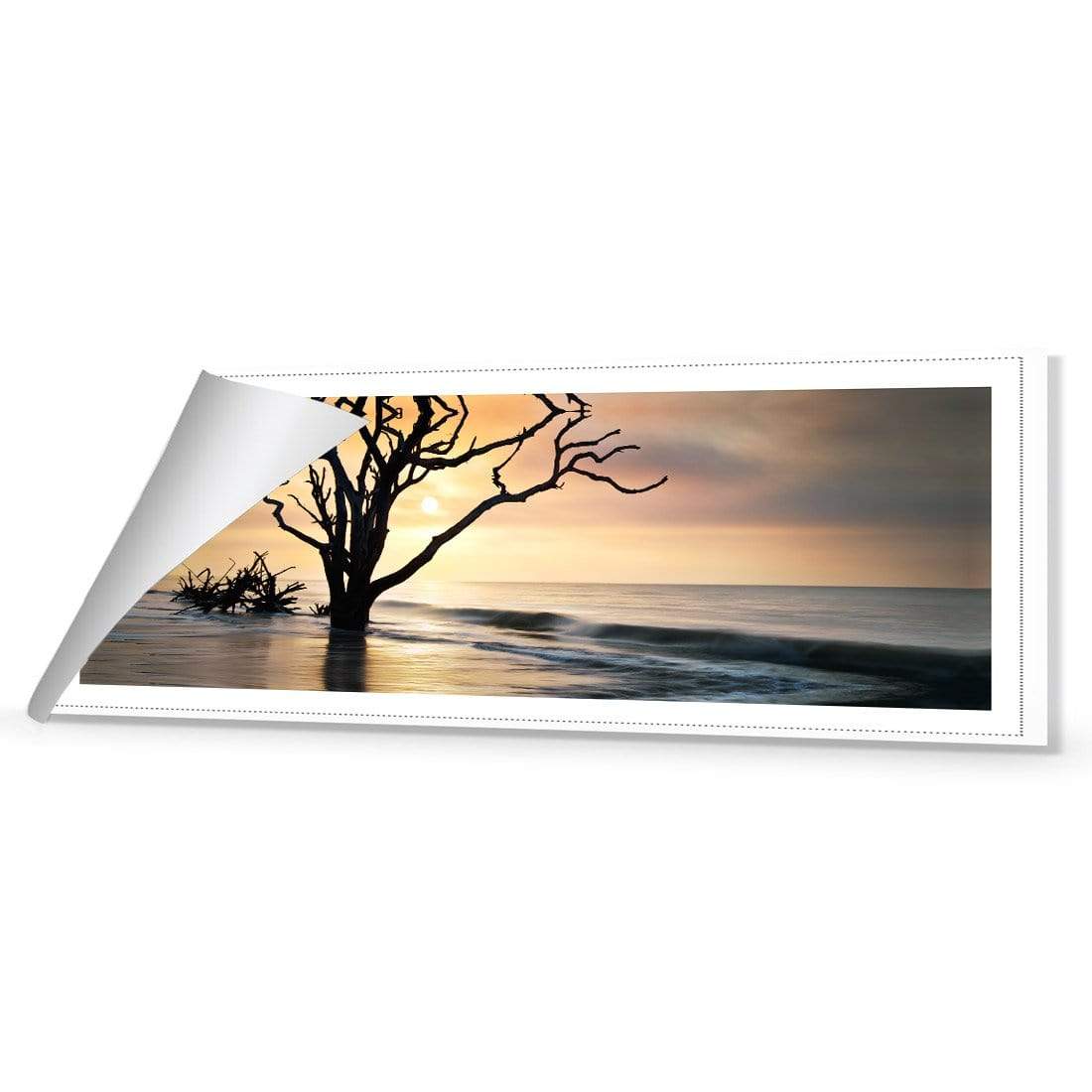 Botany Bay Sunrise (Long) - wallart-australia - Canvas