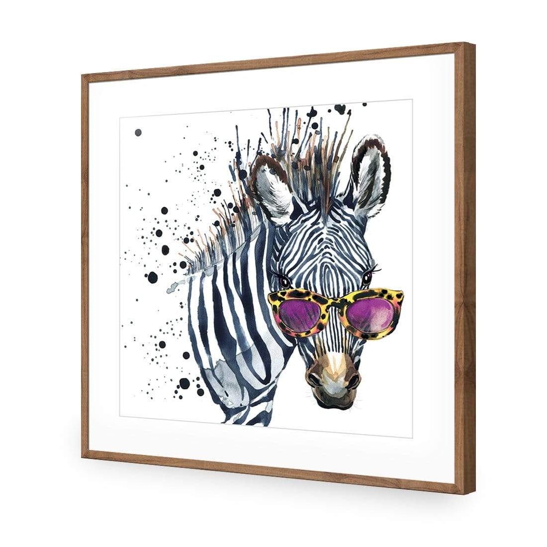Cool Zebra (square) - wallart-australia - Acrylic Glass With Border