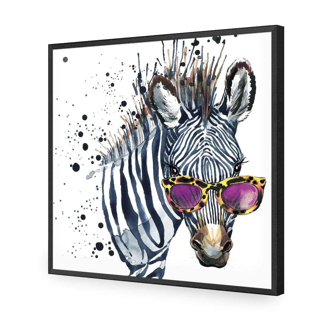 Cool Zebra (square) - wallart-australia - Acrylic Glass No Border