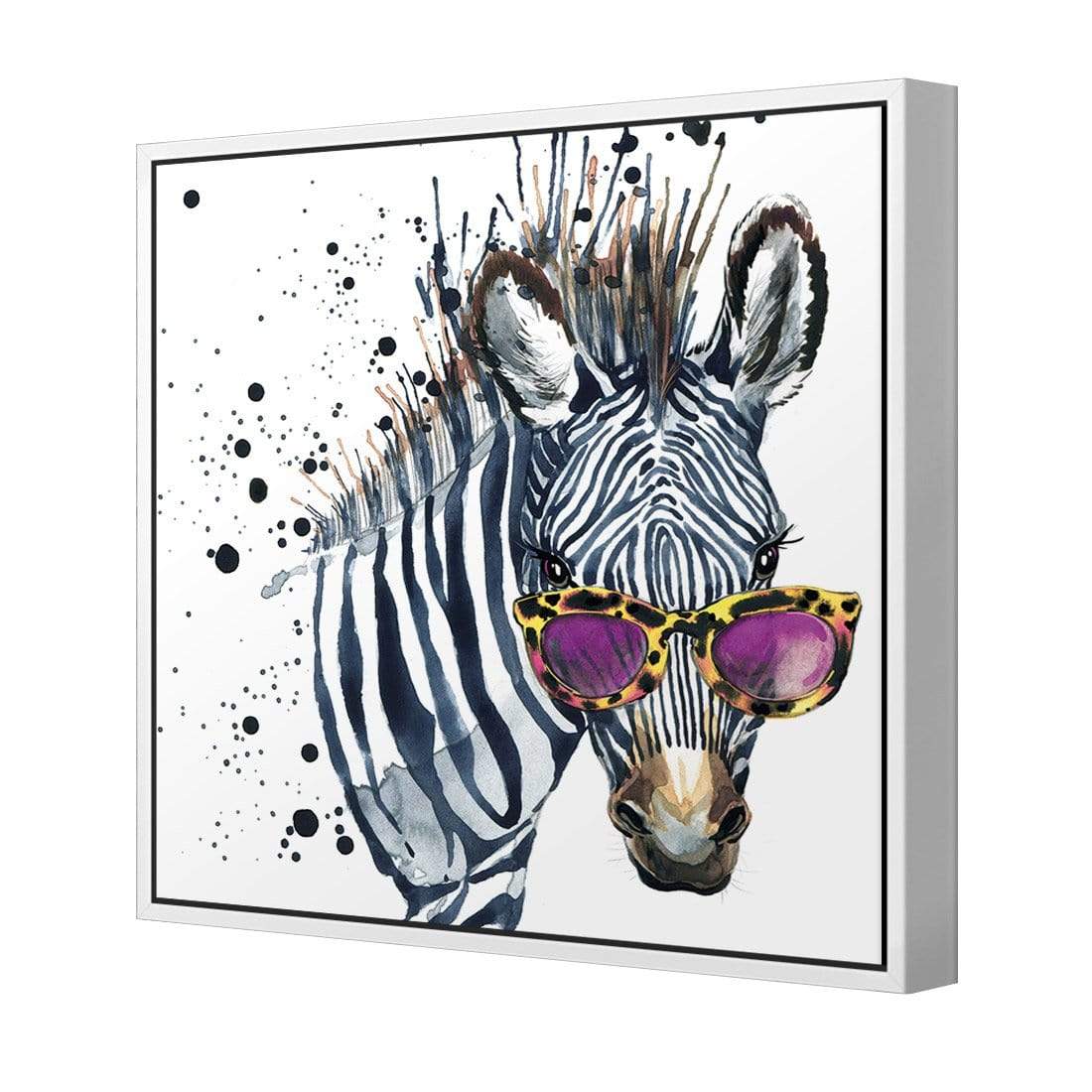 Cool Zebra (square) - wallart-australia - Canvas
