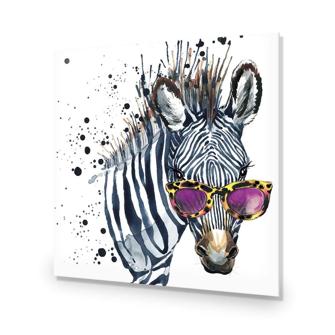 Cool Zebra (square) - wallart-australia - Acrylic Glass No Border