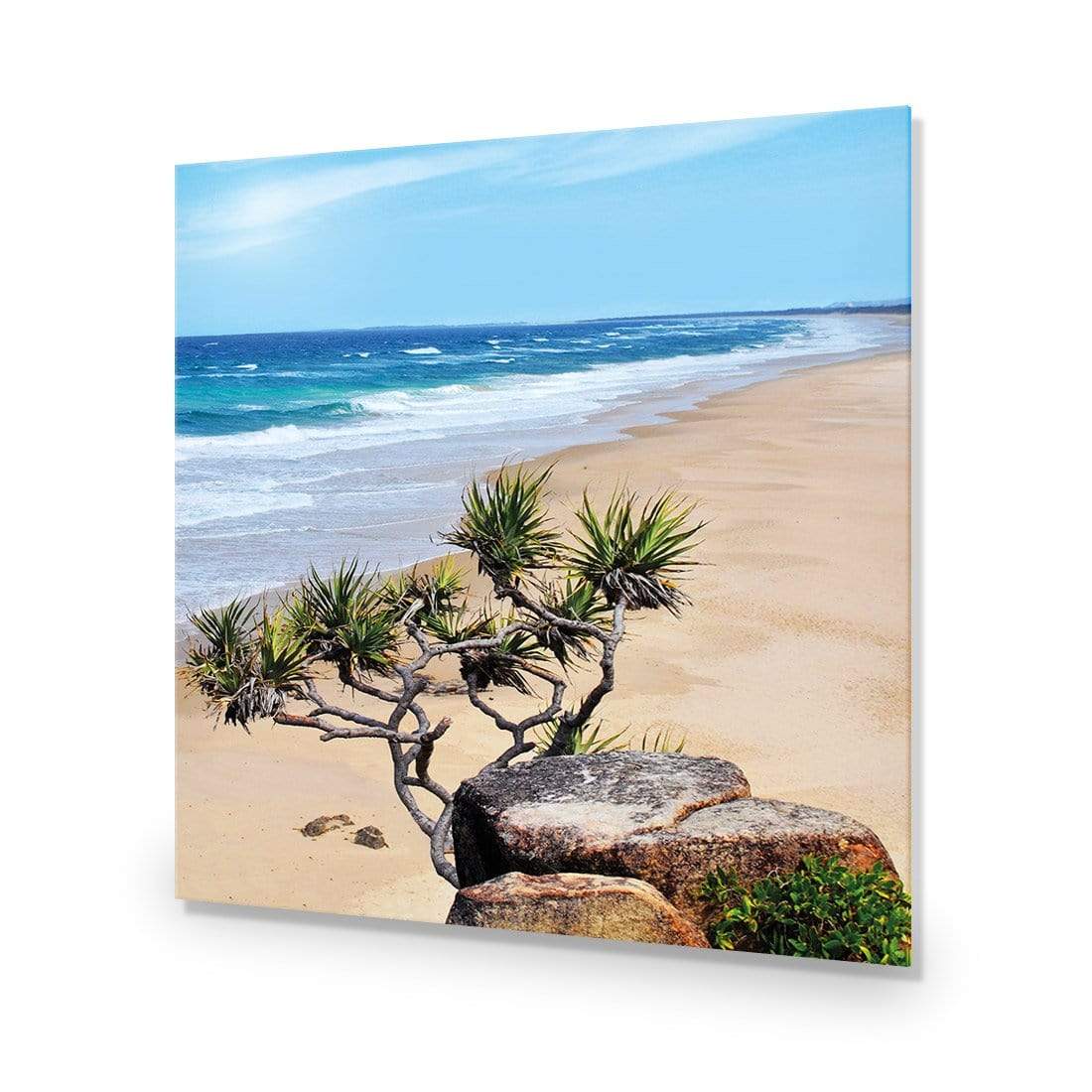 Coolum Beach (square) - wallart-australia - Acrylic Glass No Border