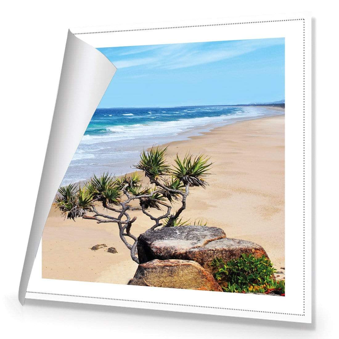 Coolum Beach (square) - wallart-australia - Canvas
