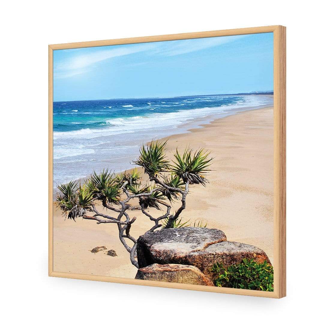 Coolum Beach (square) - wallart-australia - Acrylic Glass No Border