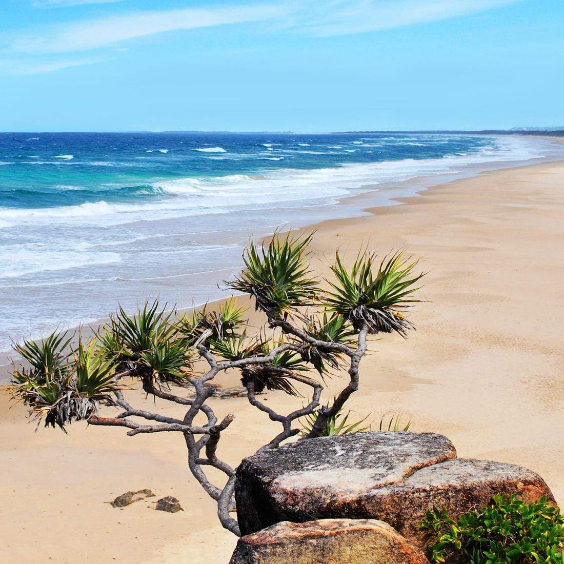 Coolum Beach (square) Wall Art | The Canvas Art Factory Australia ...