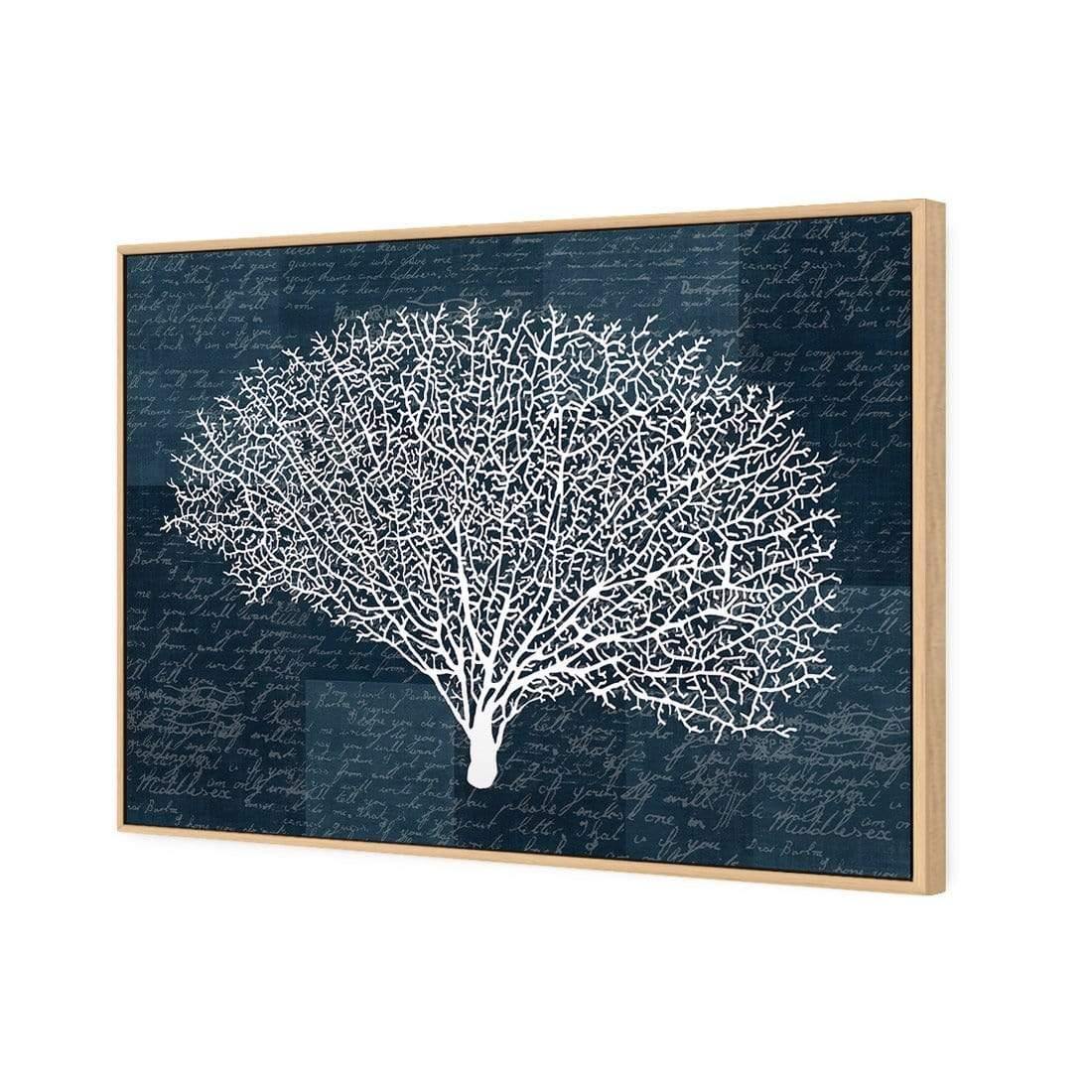 Coral Blue Rounded - wallart-australia - Canvas