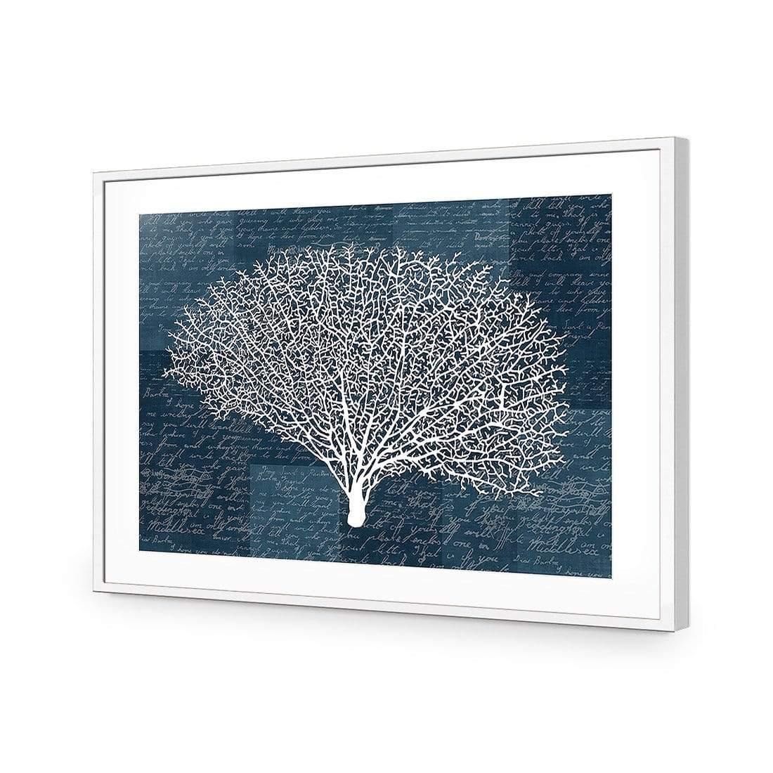 Coral Blue Rounded - wallart-australia - Acrylic Glass With Border