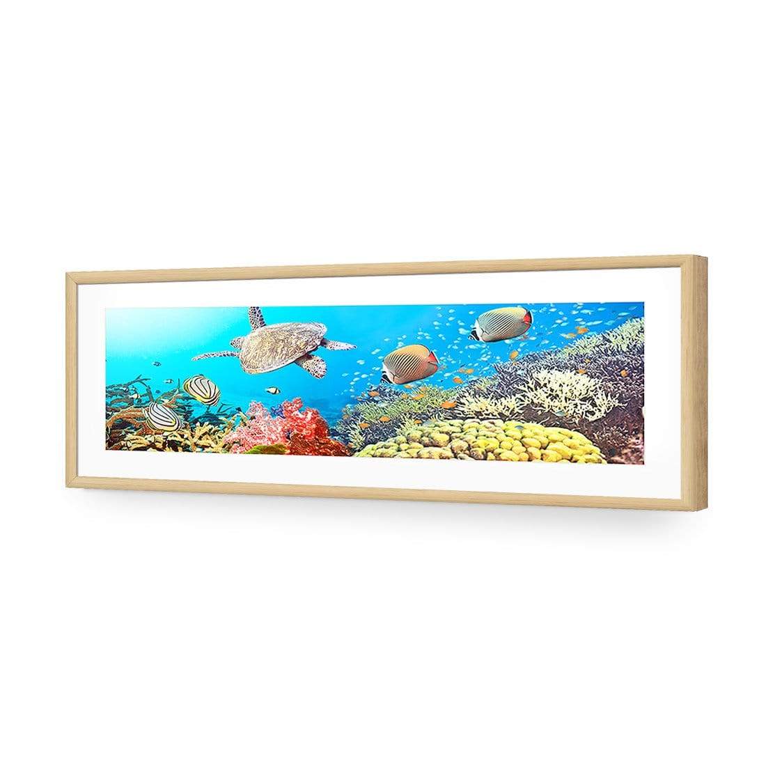 Coral Sea, Original (Long) - wallart-australia - Acrylic Glass With Border