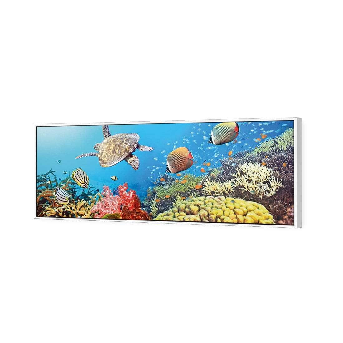 Coral Sea, Original (Long) - wallart-australia - Canvas