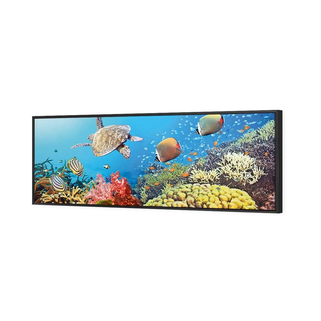 Coral Sea, Original (Long) - wallart-australia - Canvas