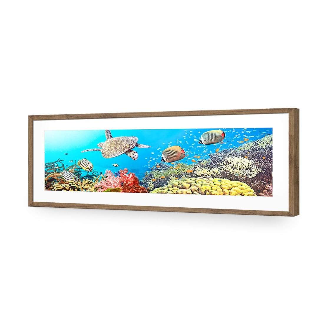 Coral Sea, Original (Long) - wallart-australia - Acrylic Glass With Border