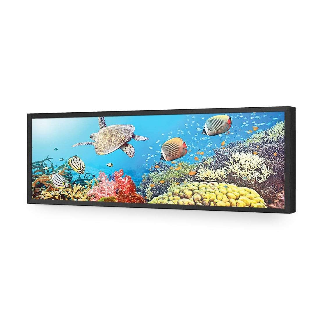 Coral Sea, Original (Long) - wallart-australia - Acrylic Glass No Border