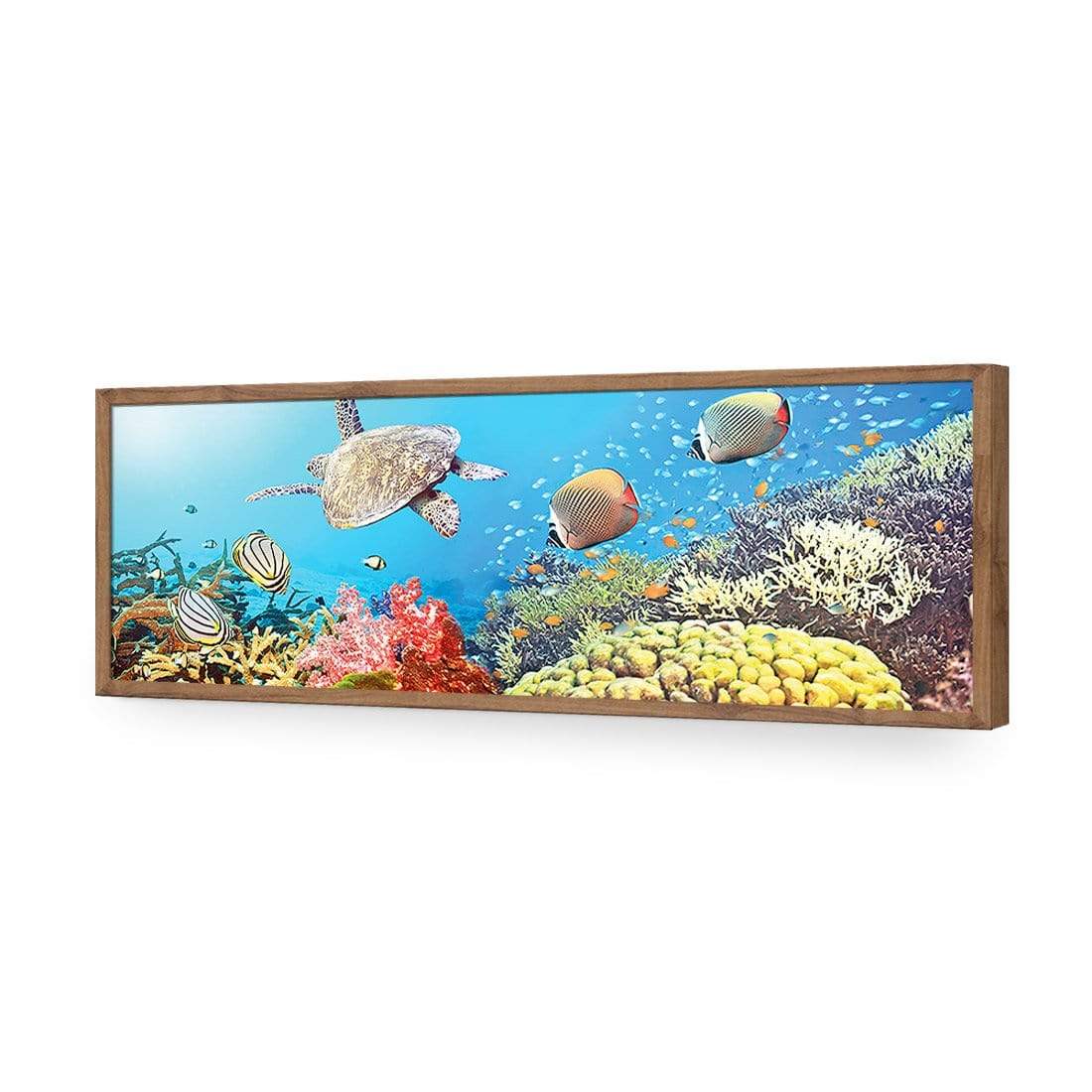 Coral Sea, Original (Long) - wallart-australia - Acrylic Glass No Border