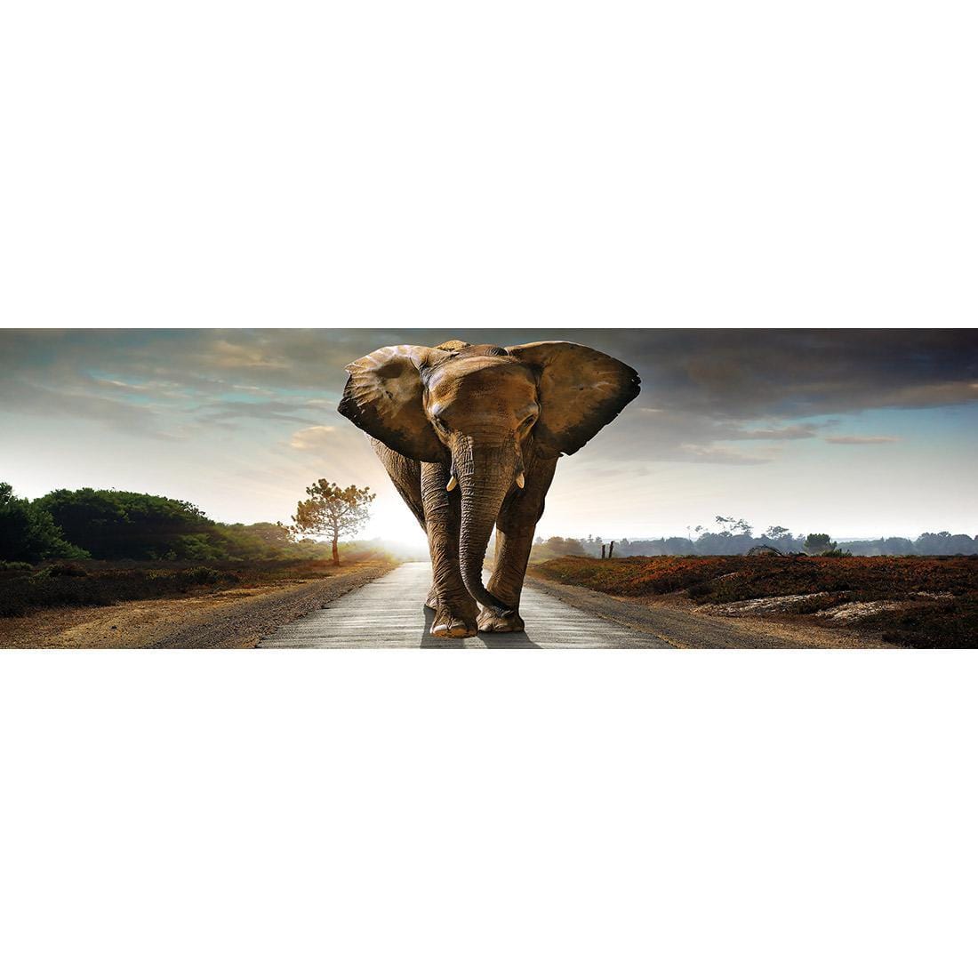 Determined Elephant - wallart-australia - Canvas