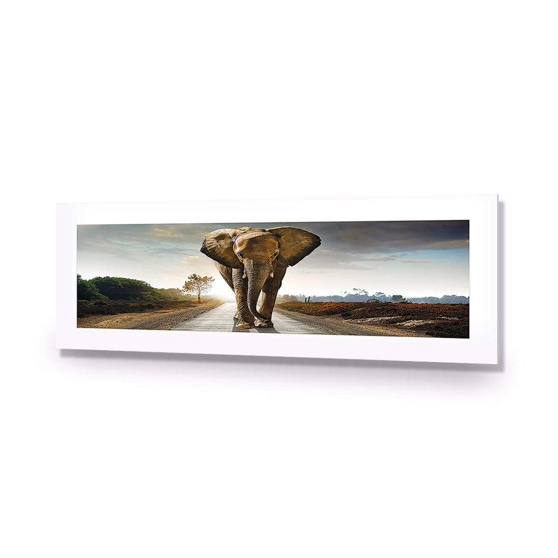 Determined Elephant - wallart-australia - Acrylic Glass With Border