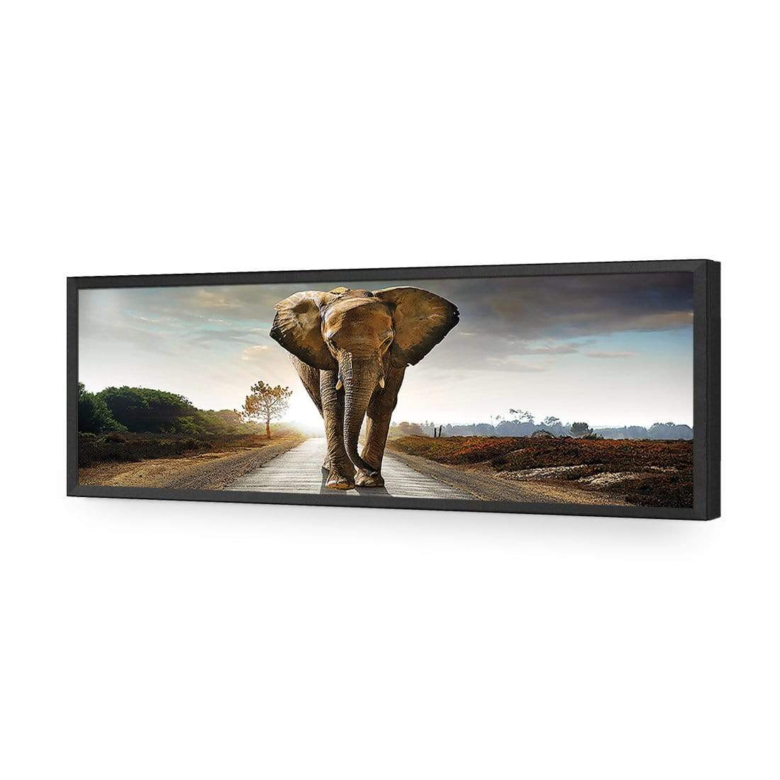Determined Elephant - wallart-australia - Acrylic Glass No Border