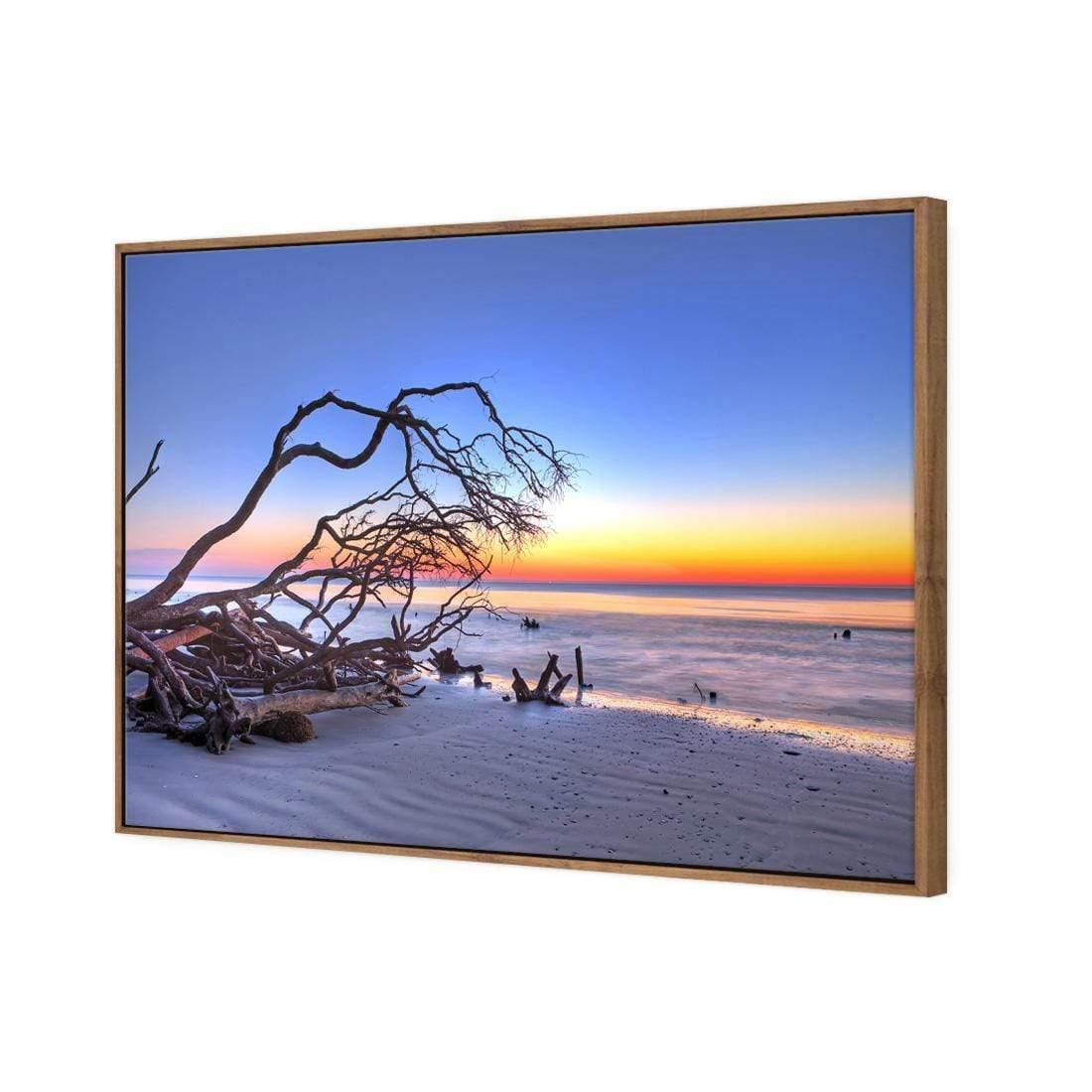 Driftwood Sunrise - wallart-australia - Canvas