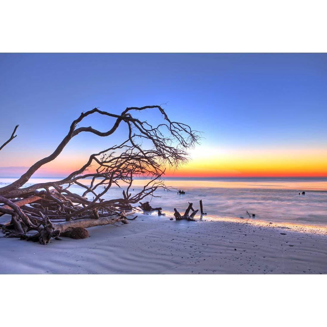 Driftwood Sunrise - wallart-australia - Canvas