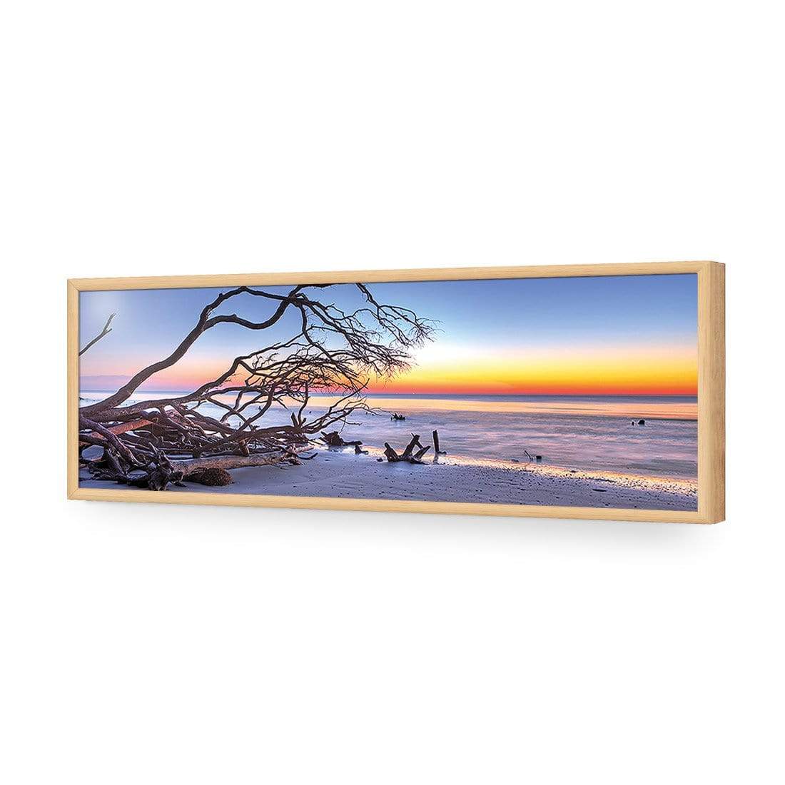 Driftwood Sunrise (Long) - wallart-australia - Acrylic Glass No Border