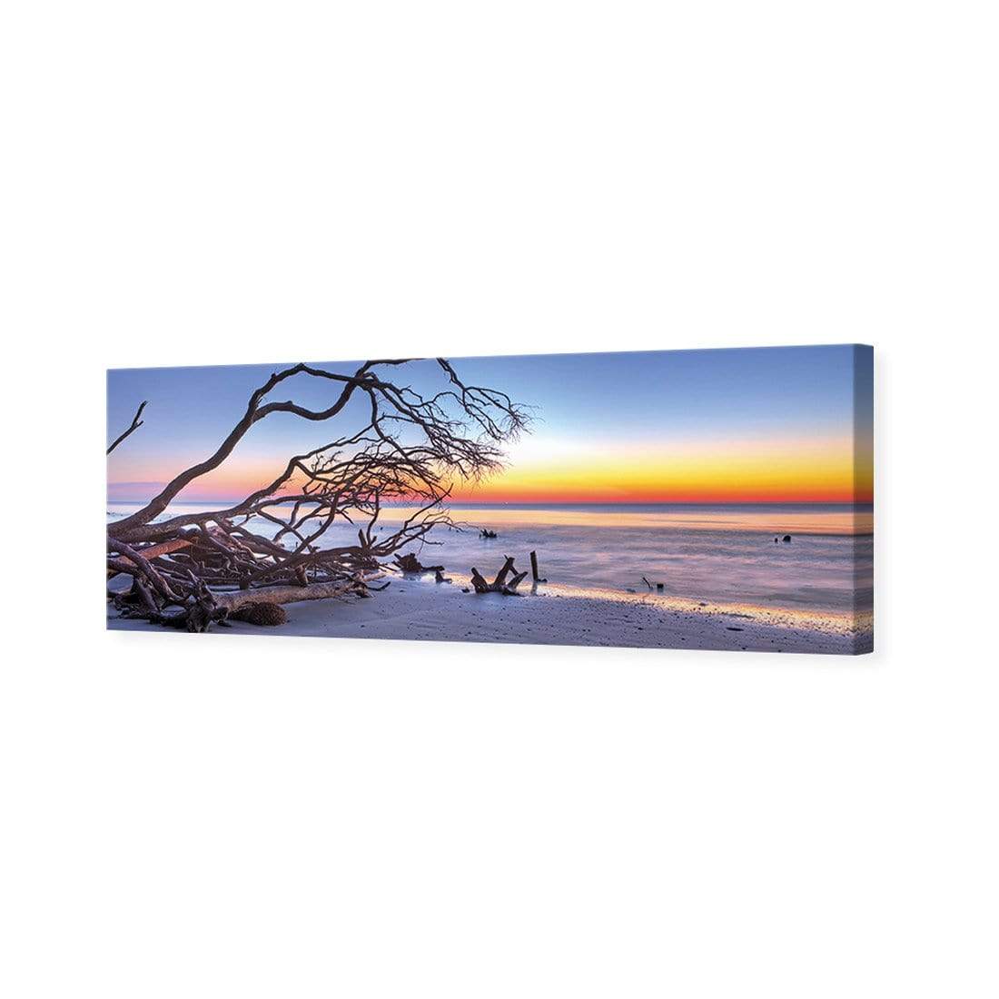 Driftwood Sunrise (Long) - wallart-australia - Canvas