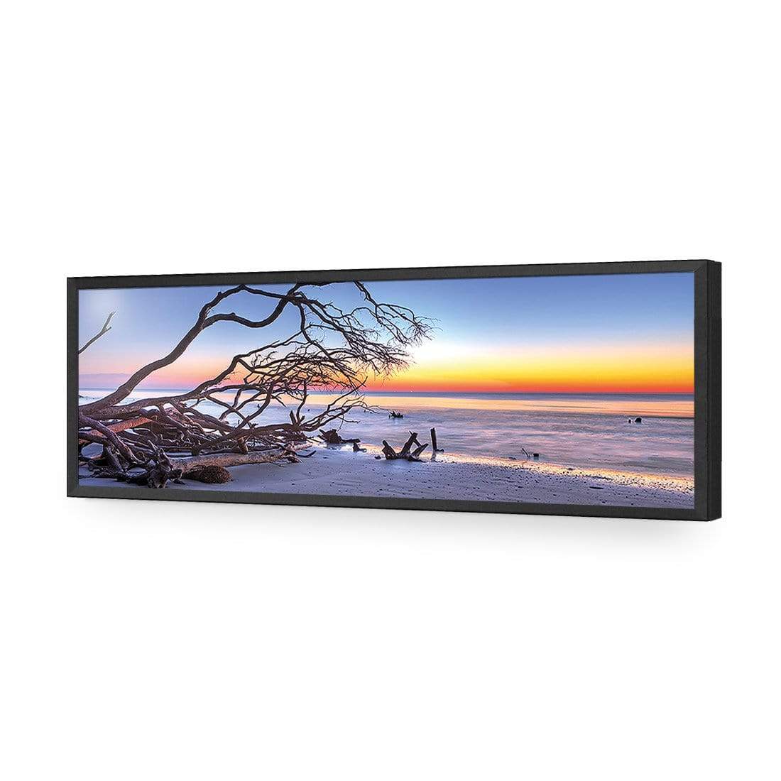 Driftwood Sunrise (Long) - wallart-australia - Acrylic Glass No Border