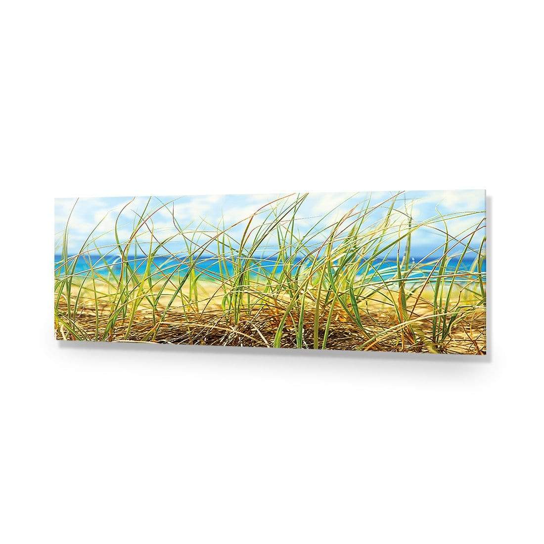 Dune Grass (Long) - wallart-australia - Acrylic Glass No Border