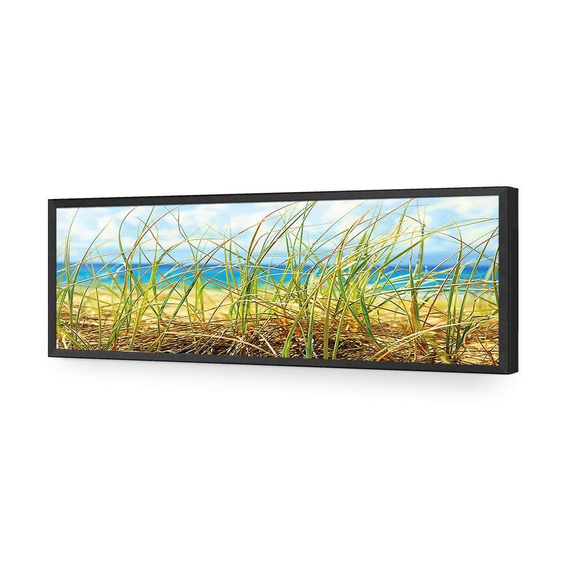 Dune Grass (Long) - wallart-australia - Acrylic Glass No Border