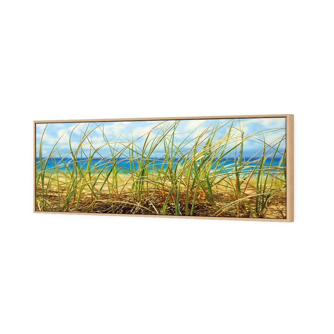 Dune Grass (Long) - wallart-australia - Canvas